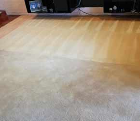 Before and After Carpet