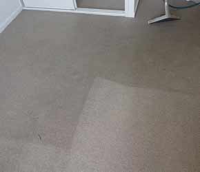 Carpet Cleaning In Action
