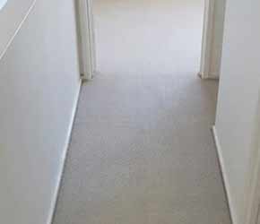 Clean Hallway