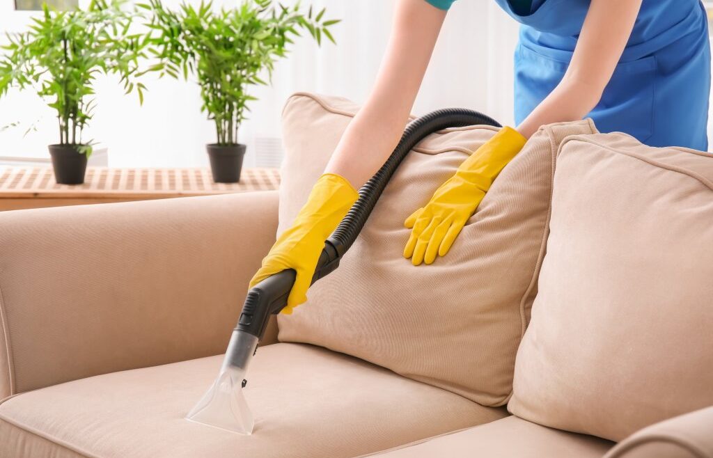 couch cleaning service sunshine coast