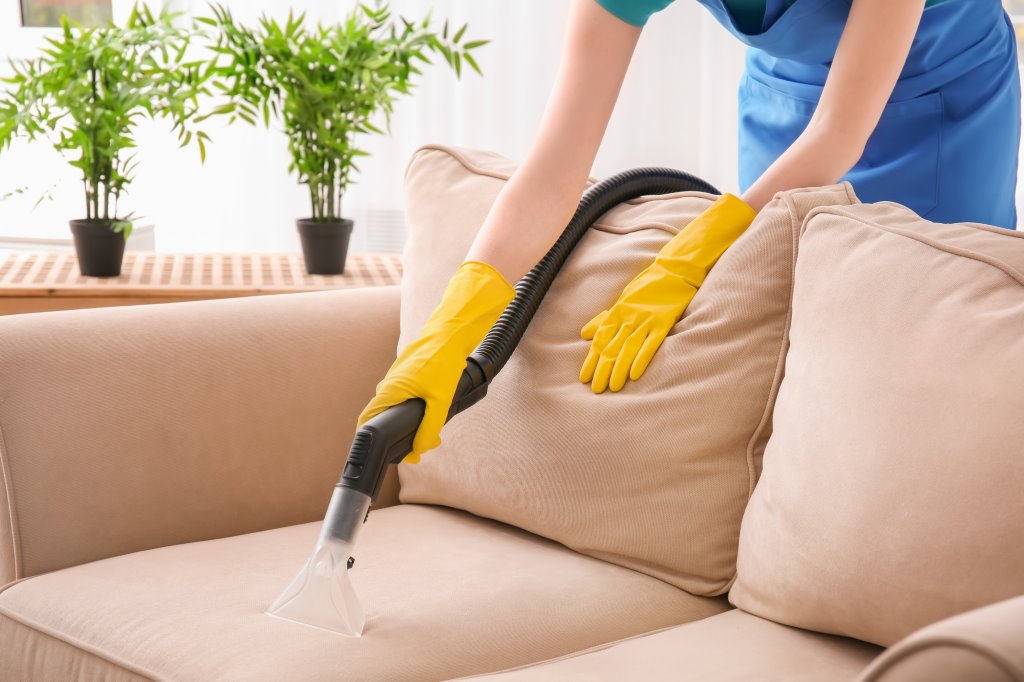 couch cleaning service